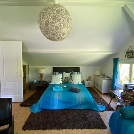 Le Loft Au-Dessus Des Pins Apartment Lacanau Bagian luar foto