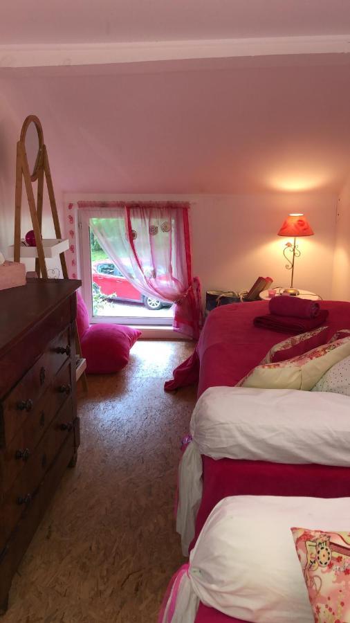 Le Loft Au-Dessus Des Pins Apartment Lacanau Bagian luar foto