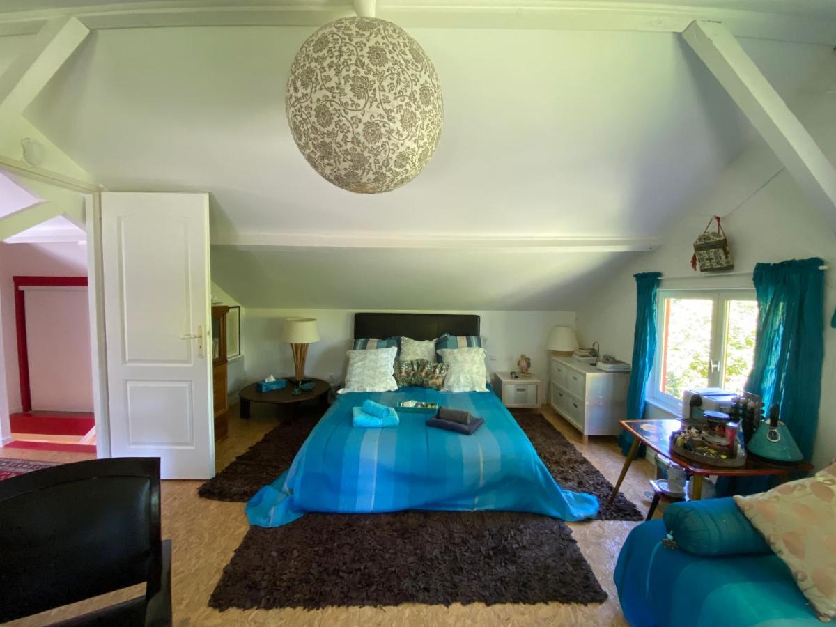 Le Loft Au-Dessus Des Pins Apartment Lacanau Bagian luar foto