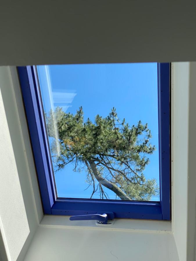 Le Loft Au-Dessus Des Pins Apartment Lacanau Bagian luar foto