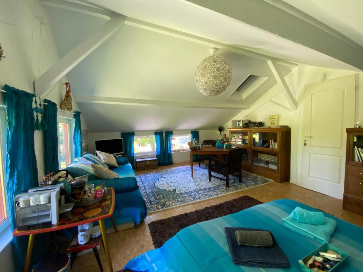 Le Loft Au-Dessus Des Pins Apartment Lacanau Bagian luar foto