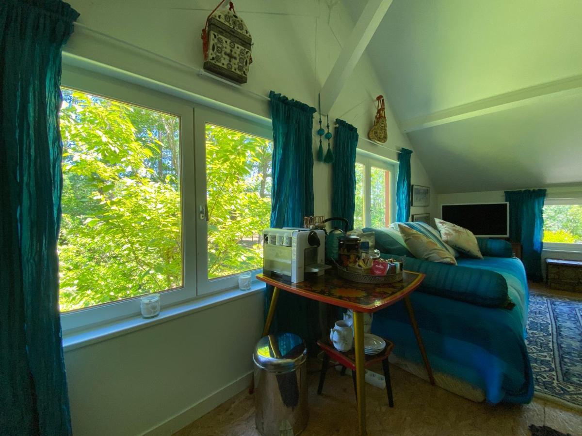 Le Loft Au-Dessus Des Pins Apartment Lacanau Bagian luar foto