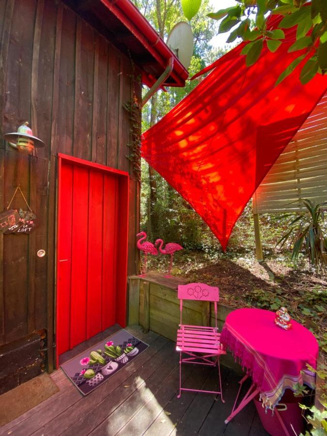 Le Loft Au-Dessus Des Pins Apartment Lacanau Bagian luar foto