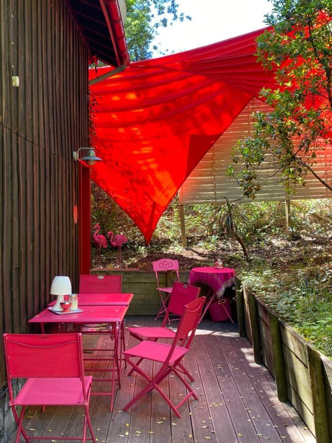 Le Loft Au-Dessus Des Pins Apartment Lacanau Bagian luar foto