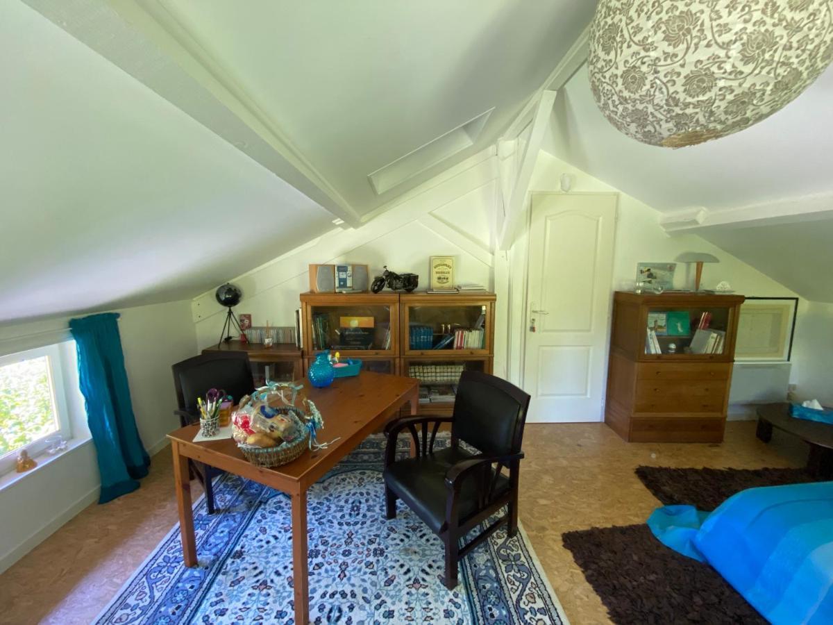 Le Loft Au-Dessus Des Pins Apartment Lacanau Bagian luar foto