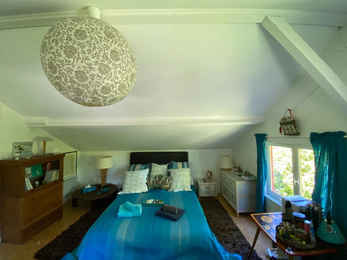 Le Loft Au-Dessus Des Pins Apartment Lacanau Bagian luar foto